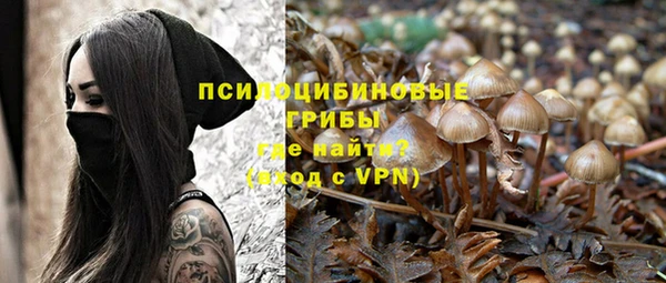 первитин Горнозаводск