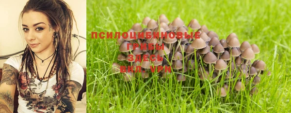 первитин Горнозаводск
